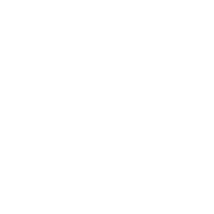 Travelers Choice